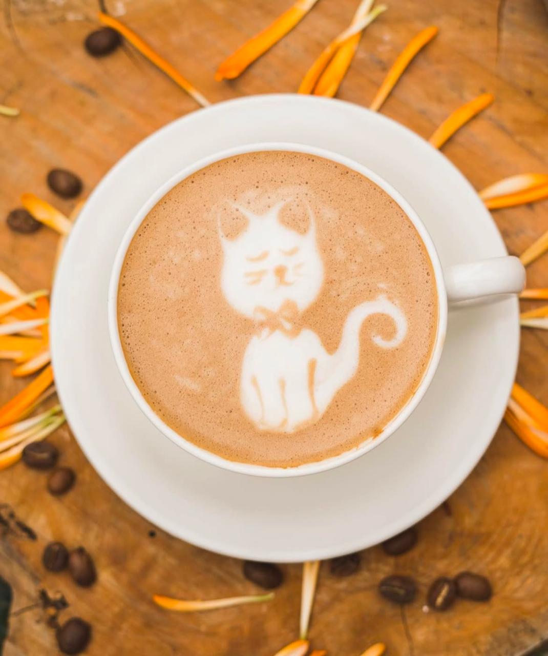 Capuchino